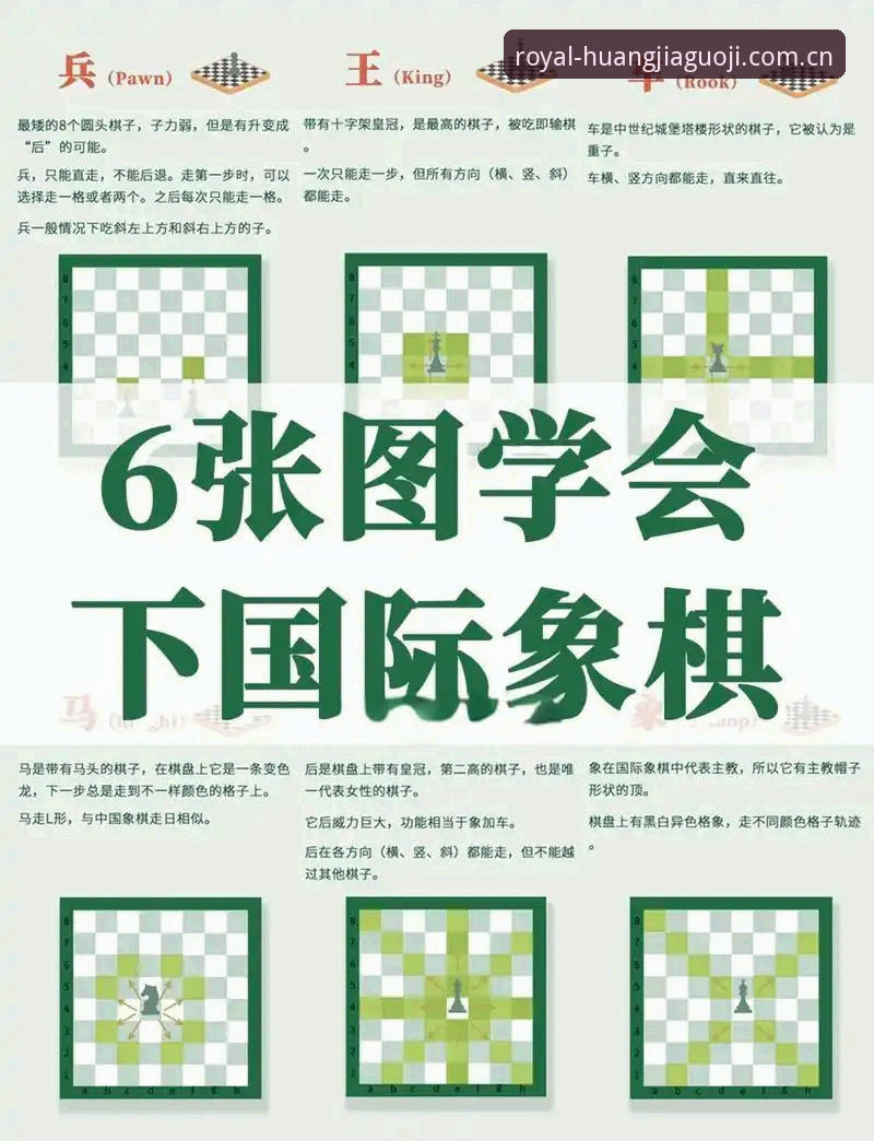 皇家国际游戏使用教程：从入门到精通的完整操作指南